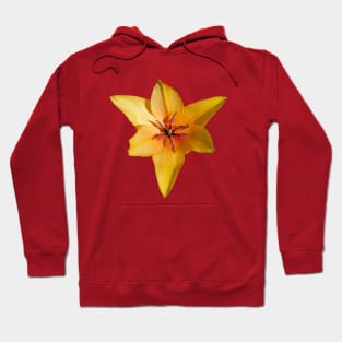 Tulip Triangle Hoodie